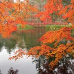 秋はもう、すぐそこに!アウトレットだけじゃない、魅力あふれる「軽井沢」の紅葉