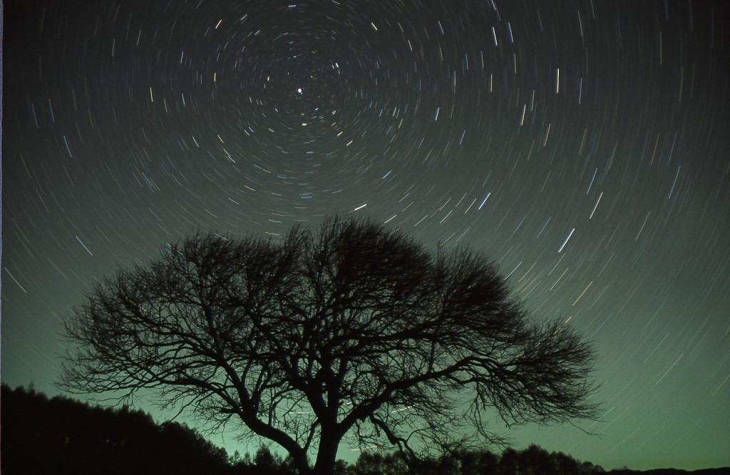 全国的にチャンスあり!「4月こと座流星群」が23日明け方に極大!