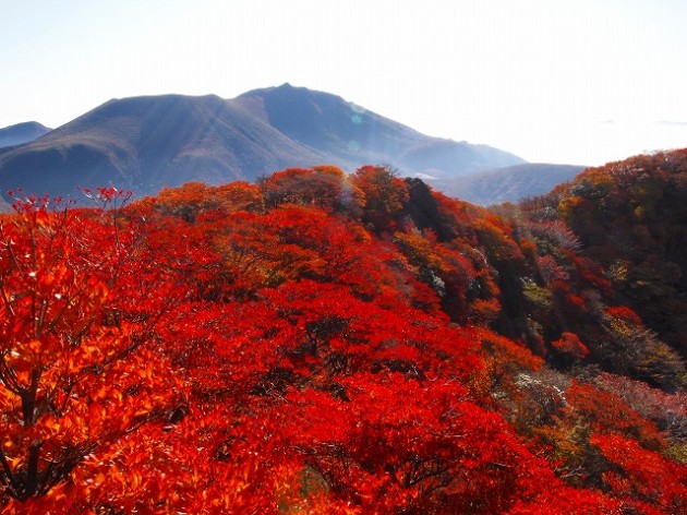 九重連山を見渡せる「九重」の観光スポットおすすめランキング