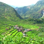２０００年かけて作られた天国への階段「コルディリェーラの棚田群」
