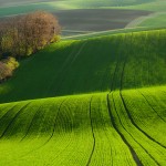 【まさに緑の絨毯】死ぬまでに行きたい世界の絶景「モラビアの大草原」