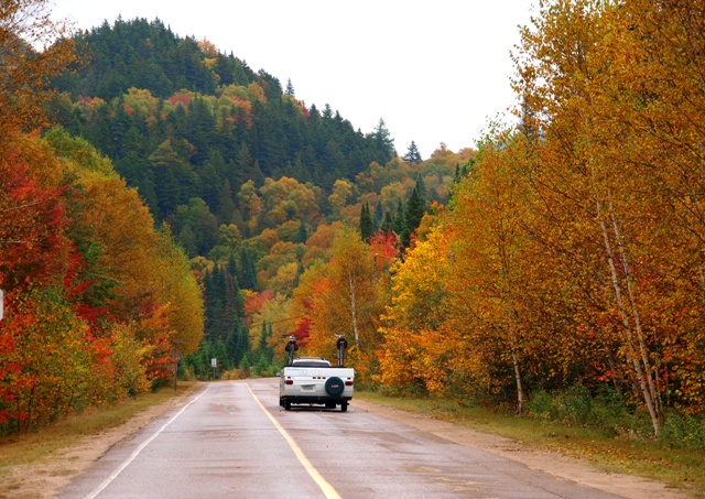 メープル街道を走る車の風景