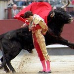 スペイン旅行に行くなら覚えておきたい「闘牛」の楽しみ方