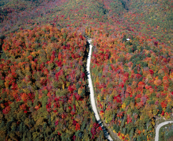 メープル街道を上空から眺めた風景