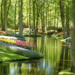 死ぬまでに一度は行きたい世界の絶景：オランダのキューケンホフ公園