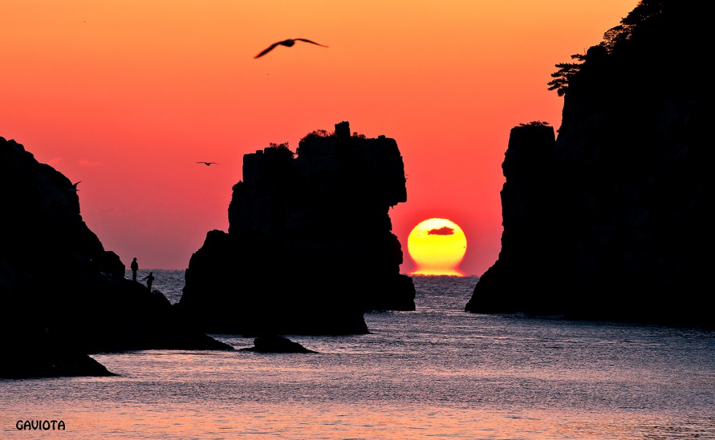 夕日に染まる巨済島の獅子岩と海金剛と鳥