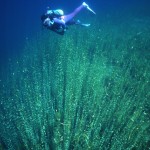 【動画】死ぬまでに一度は行きたい日本の絶景：支笏湖