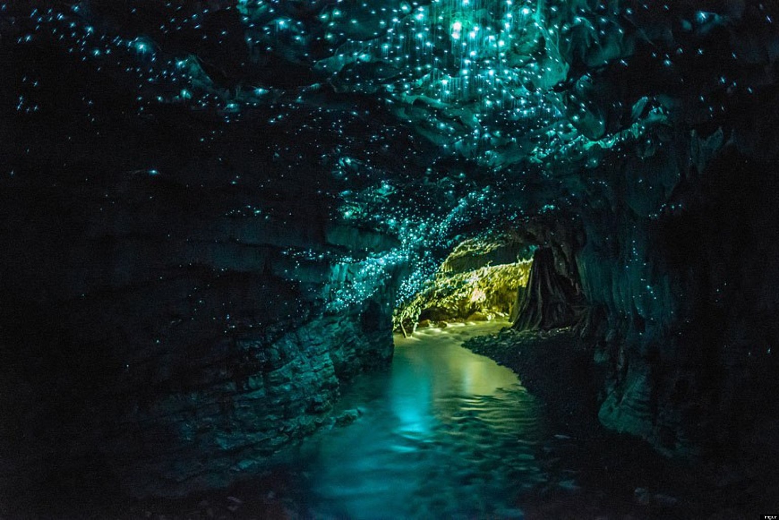 死ぬまでに一度は行きたい世界の絶景：ニュージーランドのワイトモ洞窟
