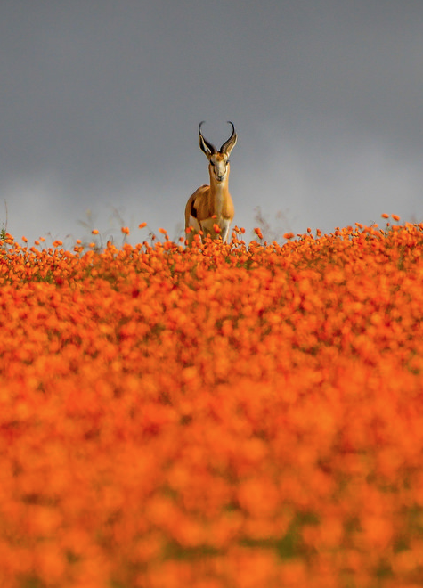 スクリーンショット 2014-07-24 16.35.41