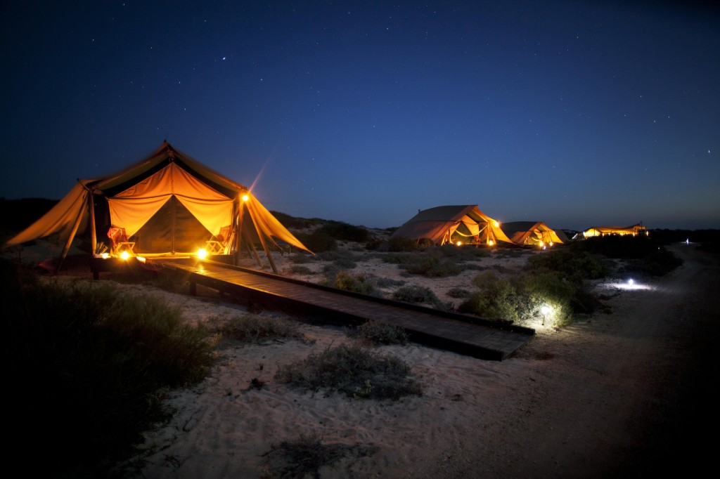 Sal Salis Tents at Night