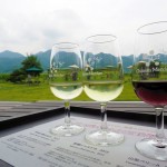 ワイン好き必見！日本初「やまなしワインタクシー」でワインと温泉三昧の旅へ♪