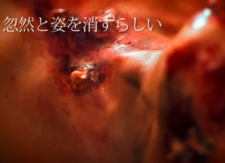 スクリーンショット 2014-08-21 14.41.50