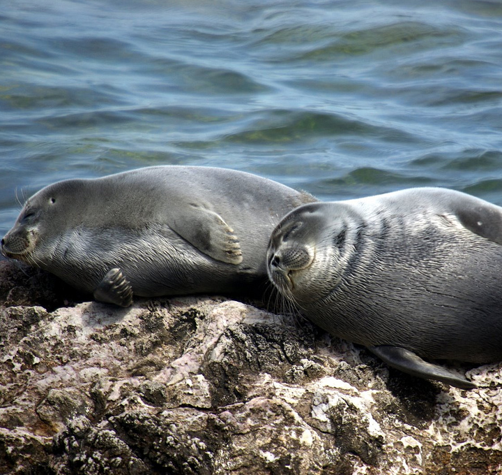 スクリーンショット 2014-08-18 17.29.03