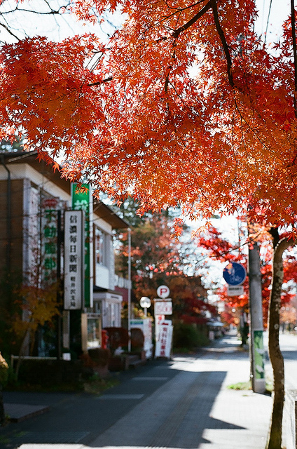 軽井沢の紅葉
