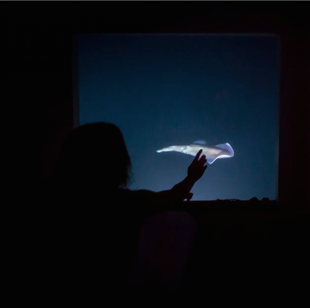 スクリーンショット 2014-08-19 15.33.23