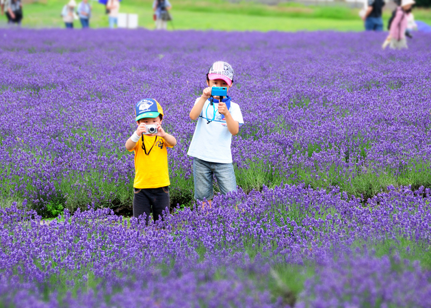 たんばらラベンダーパークを楽しむ子供の風景