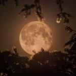 次回は１８年後！６８年ぶりの大きさの「スーパームーン」が今夜到来