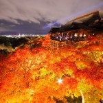風情ある京都の夜を楽しむ清水寺の「紅葉ライトアップ」