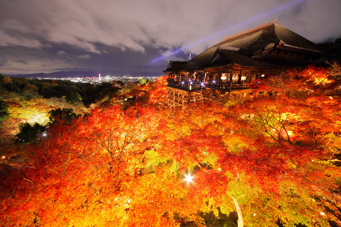 風情ある京都の夜を楽しむ清水寺の 紅葉ライトアップ