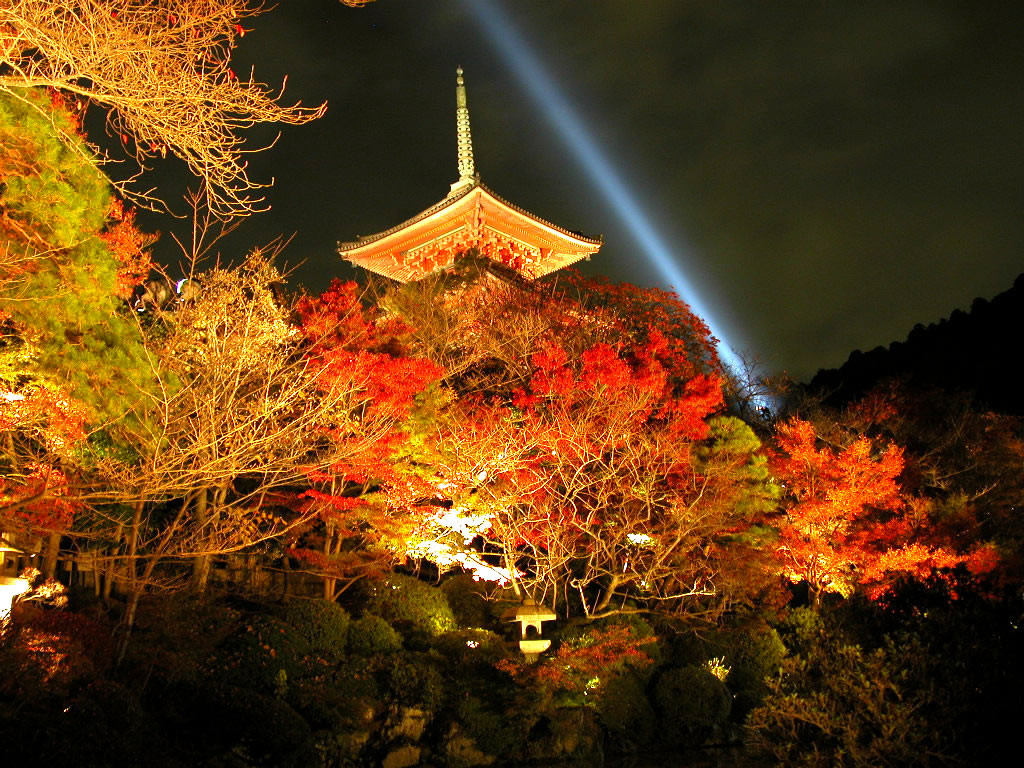 風情ある京都の夜を楽しむ清水寺の 紅葉ライトアップ