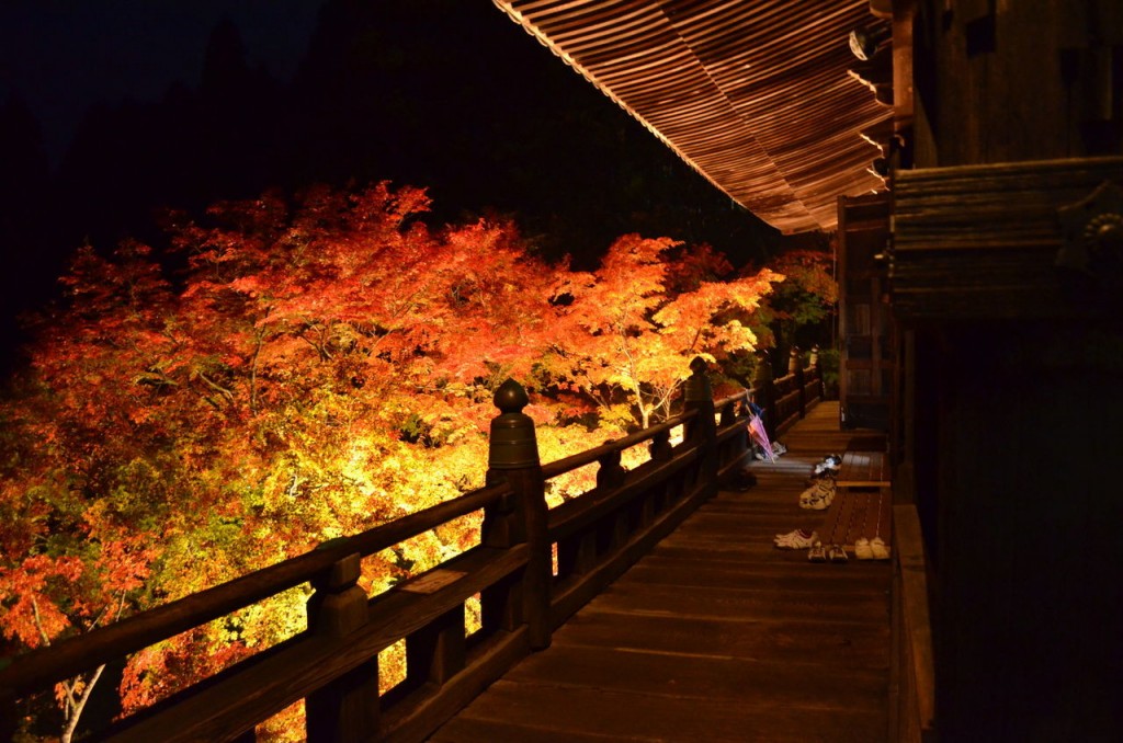 風情ある京都の夜を楽しむ清水寺の 紅葉ライトアップ Tabit Life