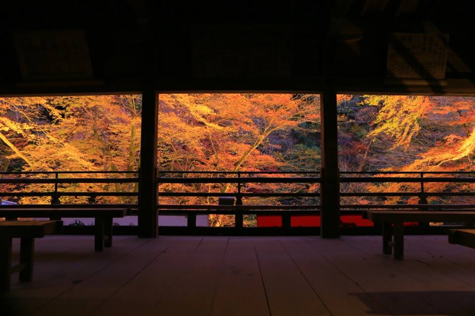 貴船神社の紅葉