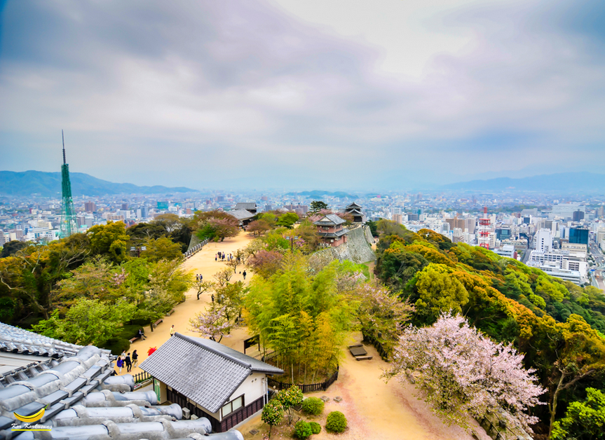 スクリーンショット 2014-09-16 14.39.47