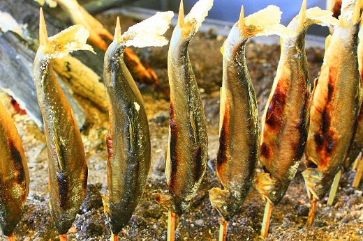 アユ塩焼き