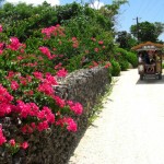羽田から３時間！石垣島からフェリーで行く離島５島観光