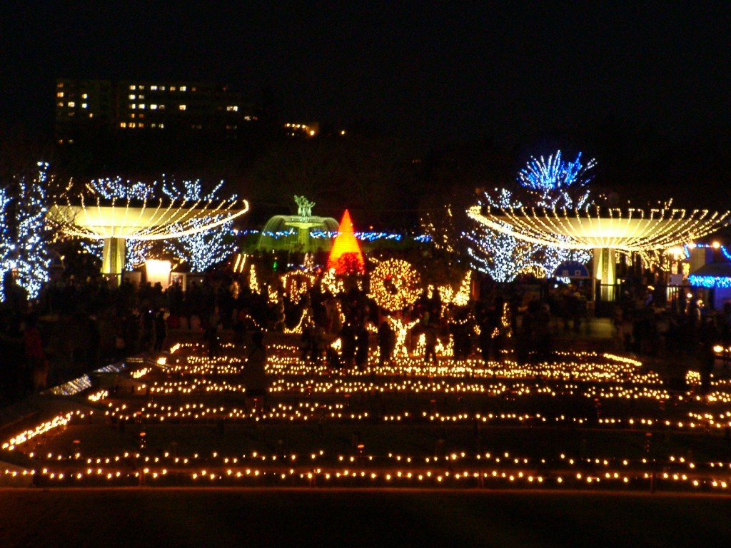 昭和記念公園のイルミネーション
