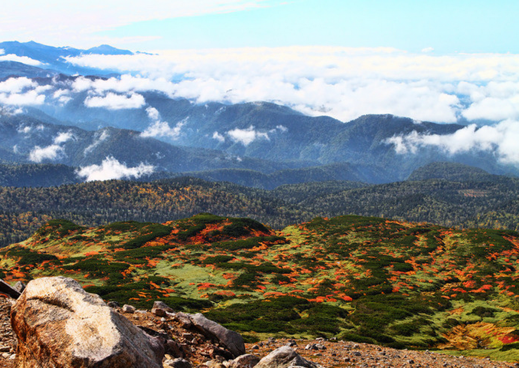 スクリーンショット 2014-09-03 23.25.45