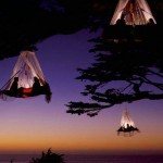 鳥になれちゃうホテル！？星空に浮かんで眠れるドイツのツリーキャンプ「ヴァルドゼイルガルテンリゾート」