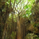 秋冬も楽しんじゃう！あったか「沖縄」観光のおすすめランキング