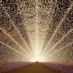 死ぬまでに見たい！「なばなの里」の絶景イルミネーション