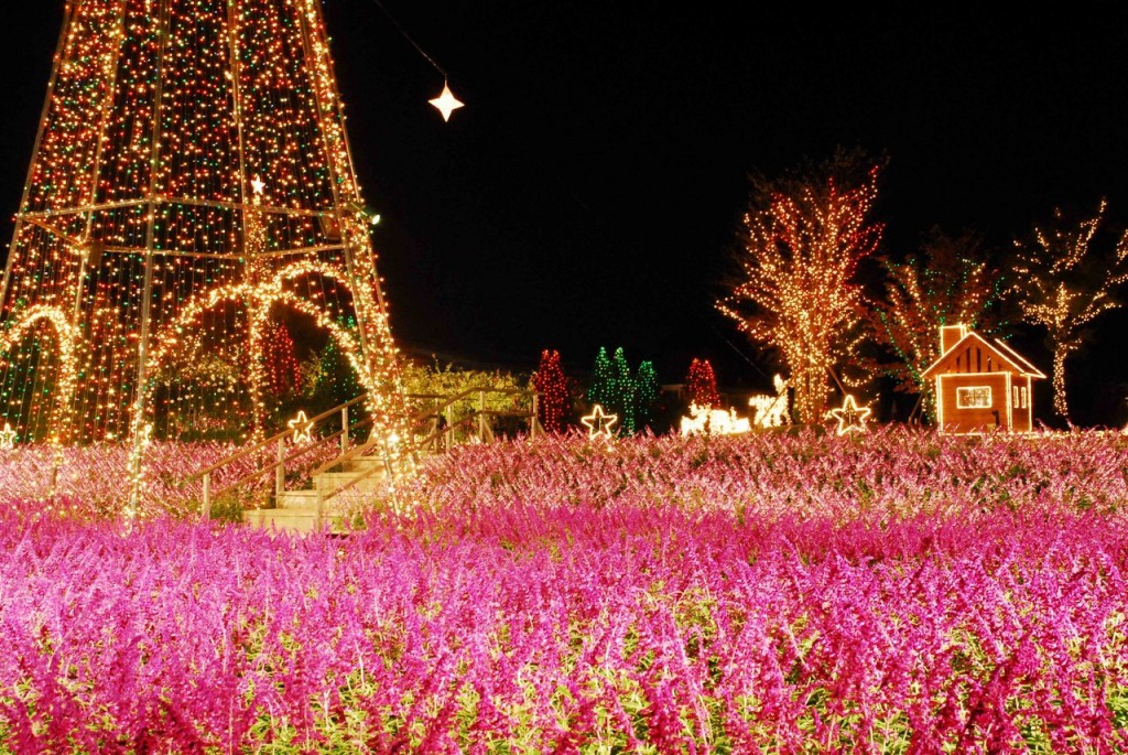 「あしかがフラワーパーク」の光の花の庭