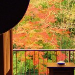 お部屋から、露天風呂から…紅葉が楽しめる国内の宿おすすめ５選