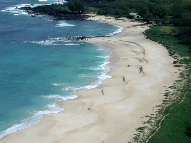 ニイハウ島のビーチ