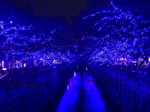 Nakameguro 青の洞窟 2014