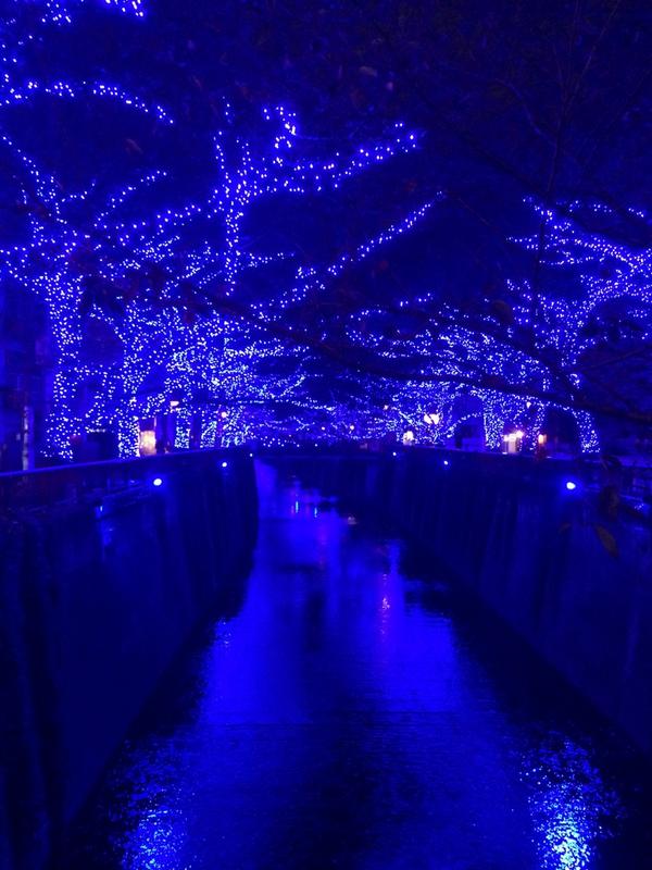 Nakameguro 青の洞窟 2014