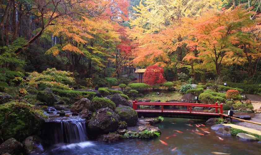 宙 SORA（そら）渡月荘金龍