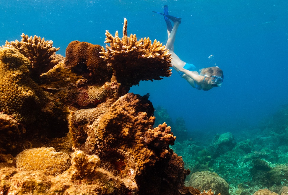 シュノーケリング