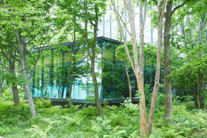 ザ･カフェ by アマン