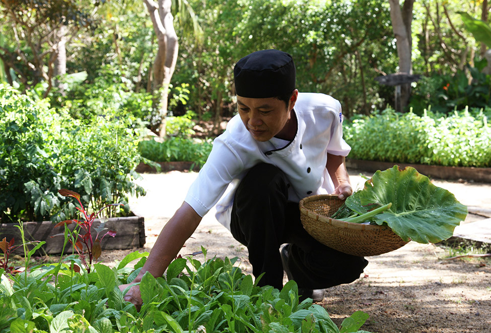 シックス・センシズ・ニンヴァン・ベイ 菜園