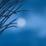 171年ぶりの名月！一生に一度の「後の十三夜」が本日到来！