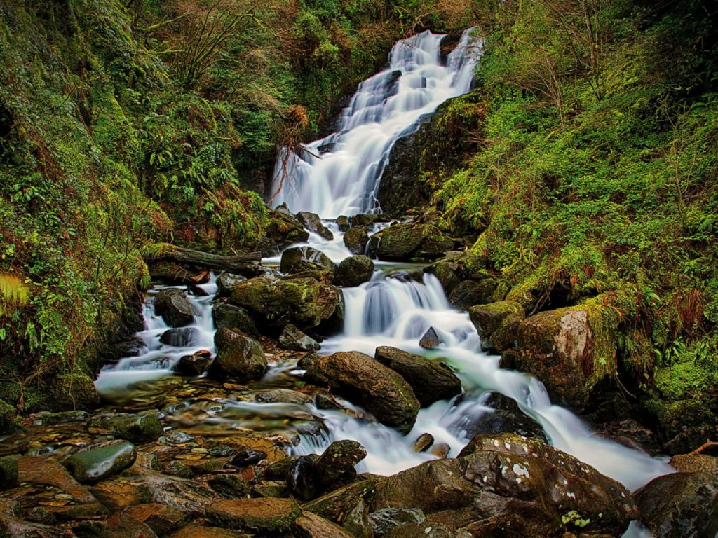 別荘での滞在のような優雅な時間を楽しむ キラーニー パーク ホテル
