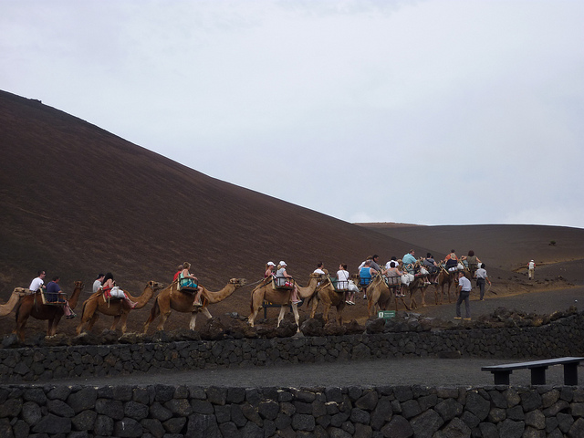 ランサローテ島のティマンファヤ国立公園をラクダで探検