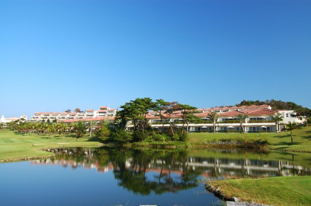 サウスウイング①