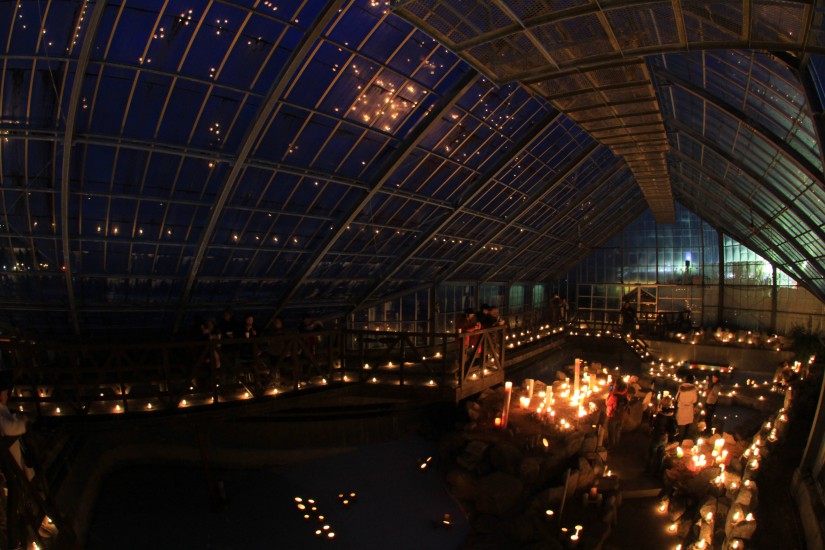 KANAYA ろうそくnight 2014