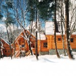 国際山岳リゾートを満喫する「長野県白馬村」のホテル人気おすすめランキング