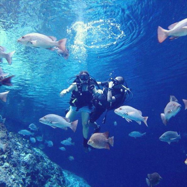 ヒナトゥアン川の魚達